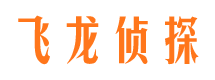 阿里市调查公司